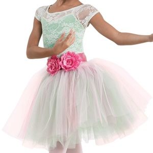 Dress/Dance Costume